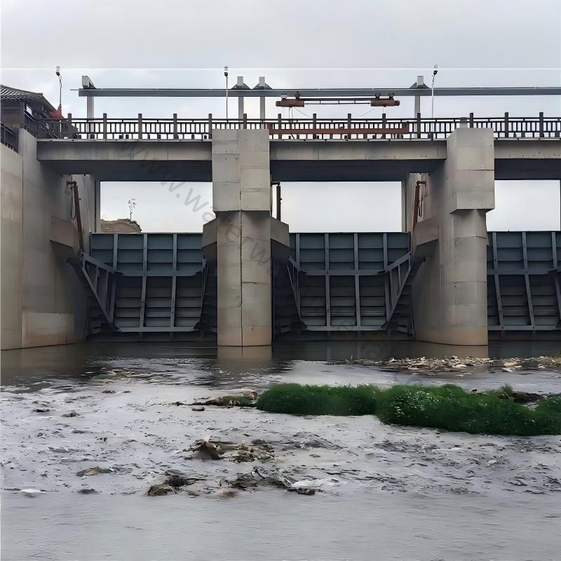 钢闸门2*2.5米：农田灌溉